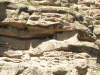 ruins ute 10.gif (320373 bytes)